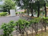 광덕5리 운동기구 1