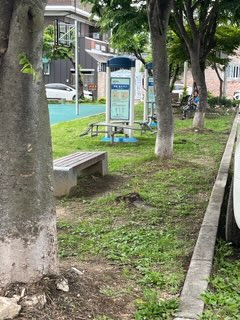광덕문화광장 운동기구2 1