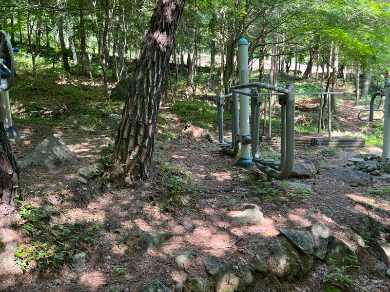 유천3리 운동기구 3