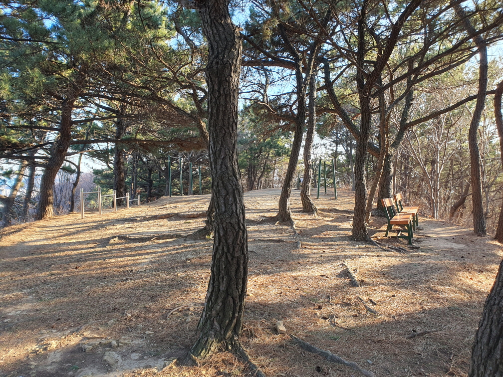 황령산 조림지 정상 동네체육시설 1