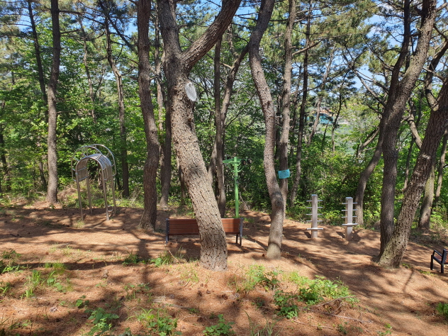 황령산 임도변 동네체육시설 1