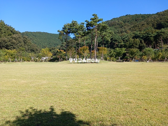 잔디광장(대구) 1