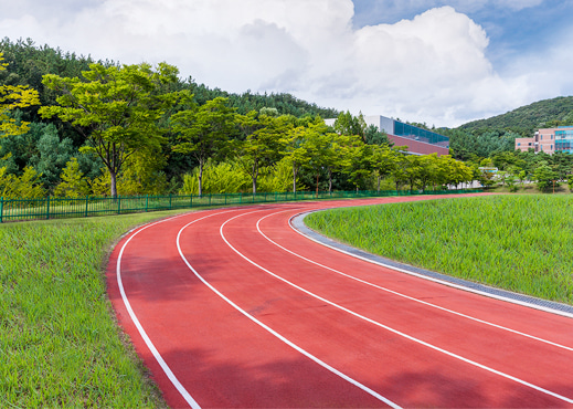 고한생활체육공원 1