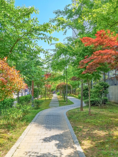 수련소공원 및 물만골소공원 2