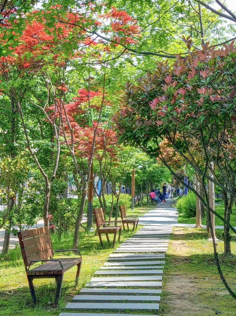 수련소공원 및 물만골소공원 3