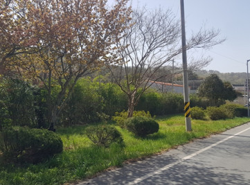 진도읍 소공원(진도고 소공원) 3