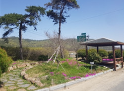 진도읍 소공원(염장 소공원) 4