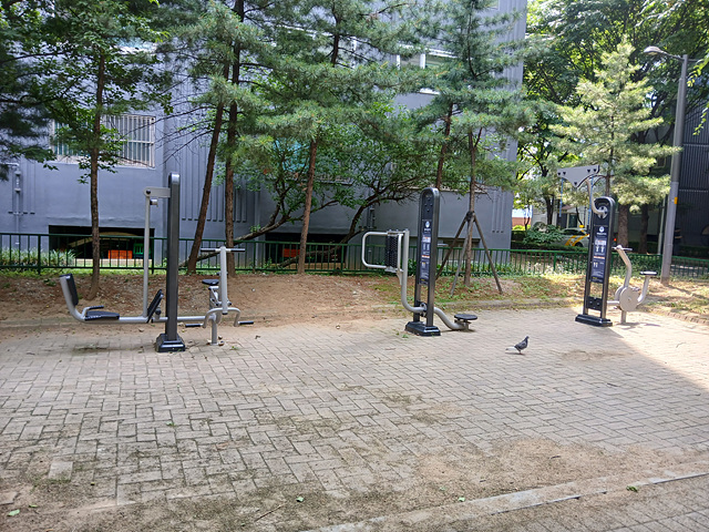 비둘기놀이공원 야외운동시설 1