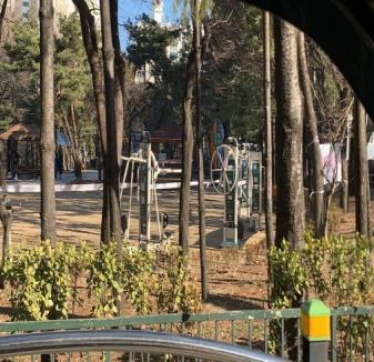 일신놀이공원 야외운동시설 1