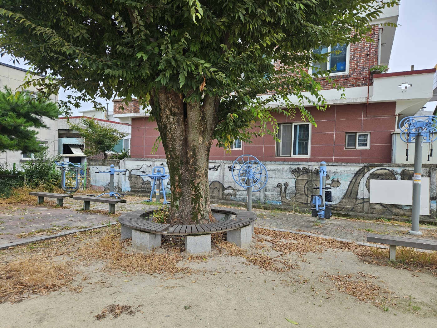 우암동 261-174(중앙중학교) 1