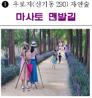 마사토 맨발길(우로지 자연숲) 1