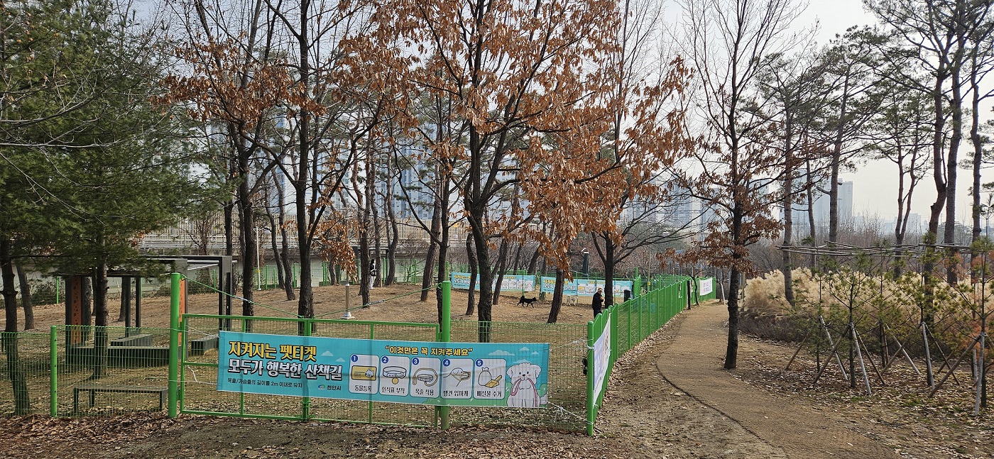 천안축구센터 반려견놀이터(성정동) 1