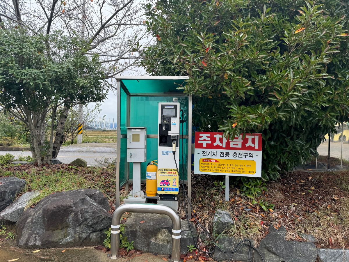 금성면사무소 전기차…