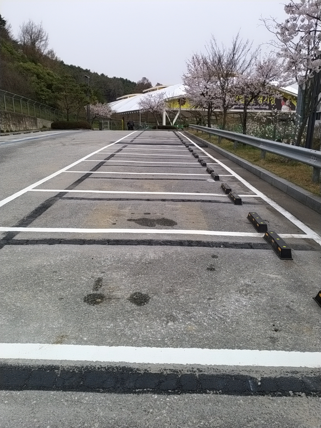 홍길동체육관 본관 3