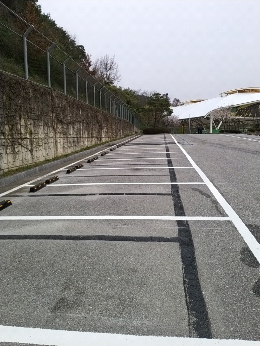 홍길동체육관 본관 4
