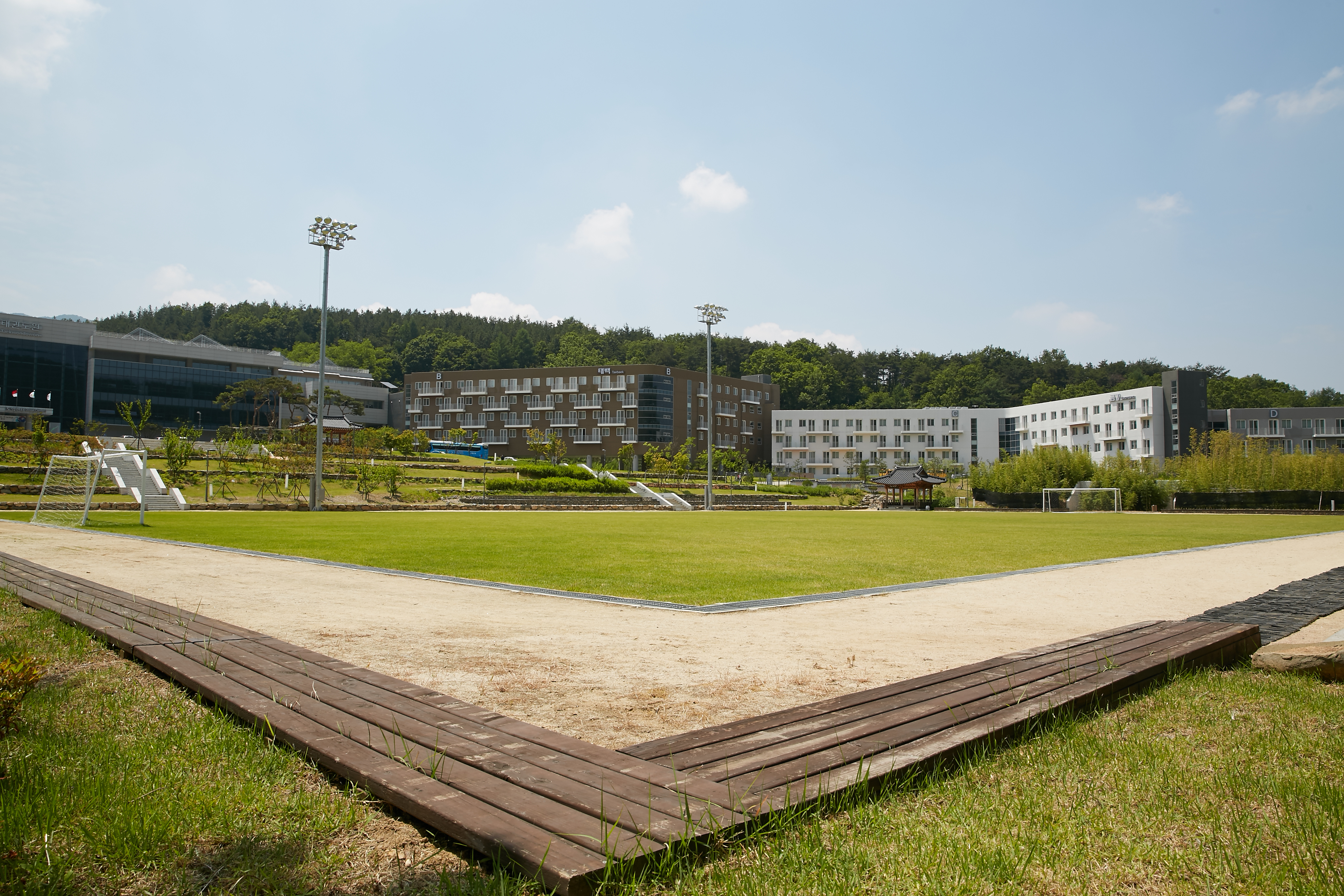태권도진흥재단 잔디운동장 1