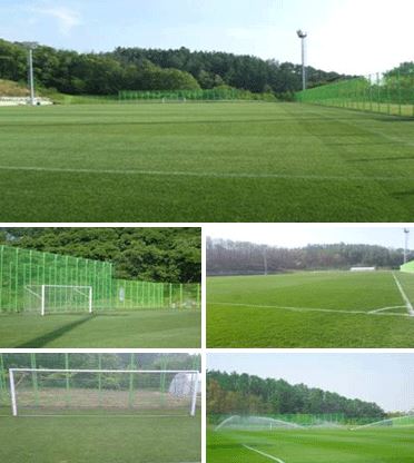 천안생활체육공원 천연잔디 축구장 1