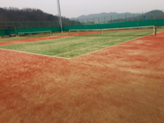 청송지사 테니스장 1