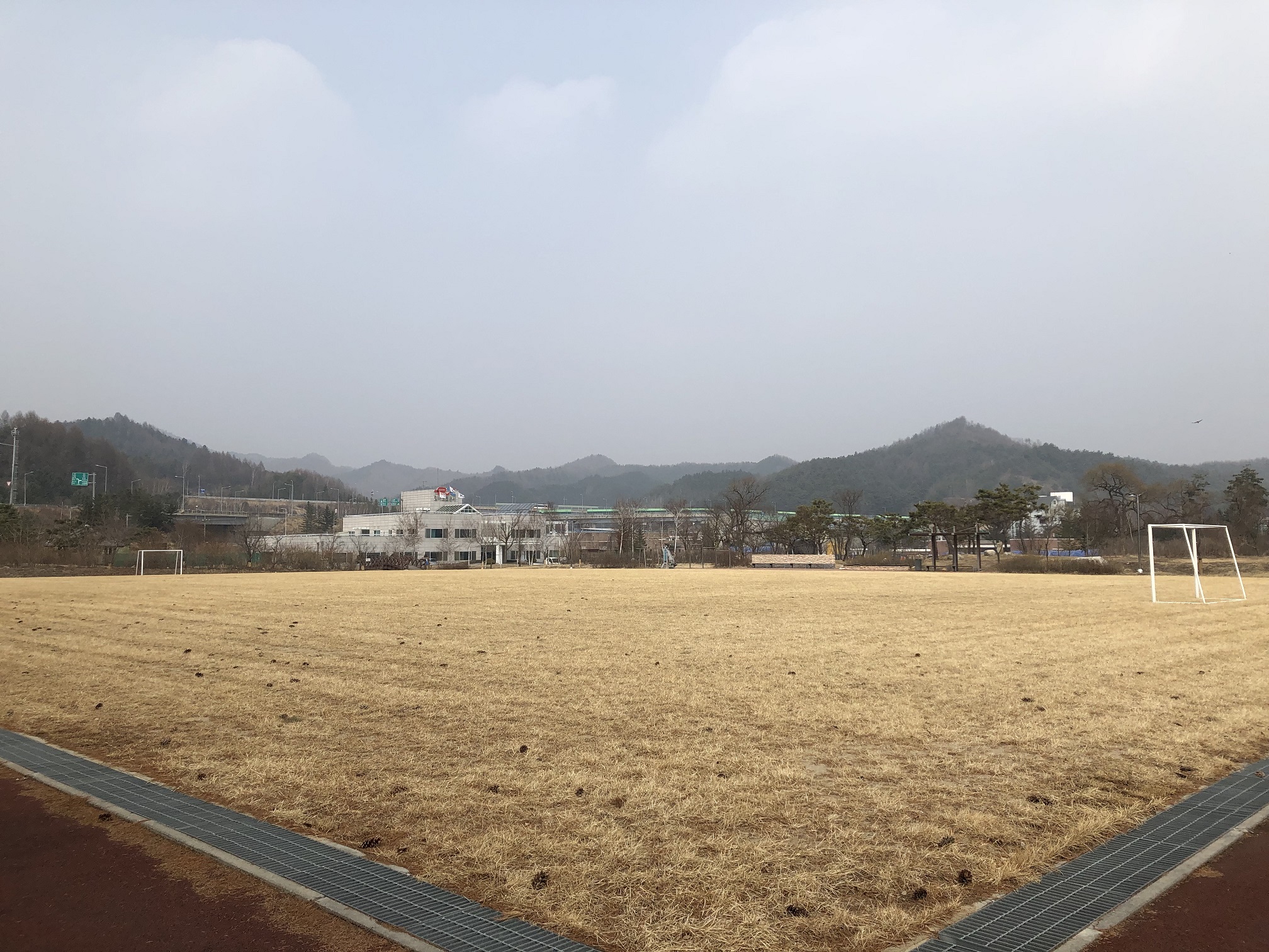 대관령지사 운동장 1