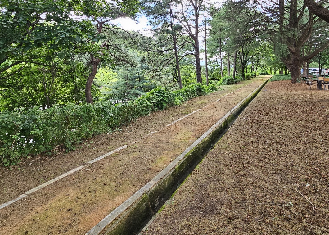 황토길(대전청사) 1