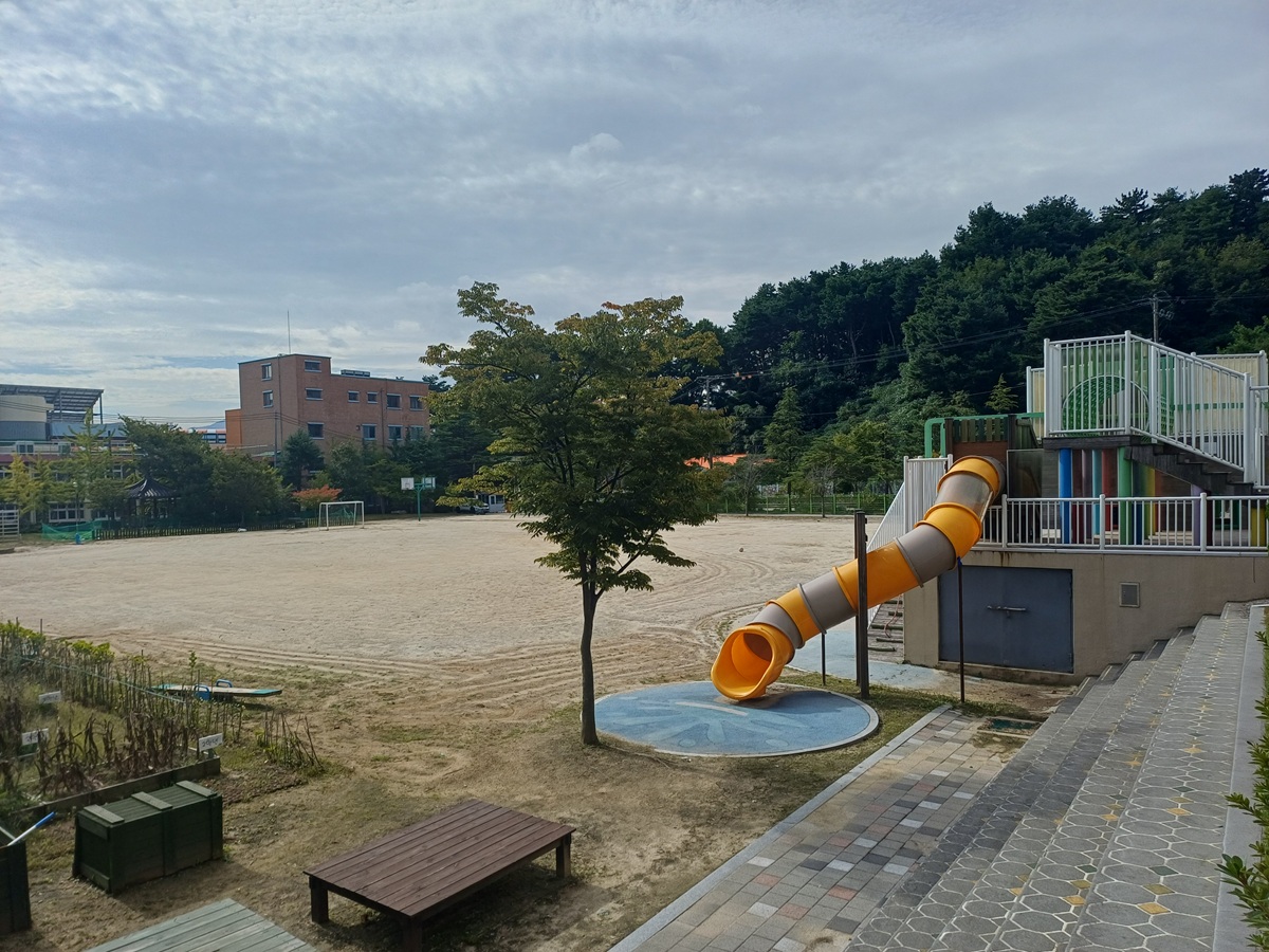 포남초등학교 운동장 프로그램 사진 1
