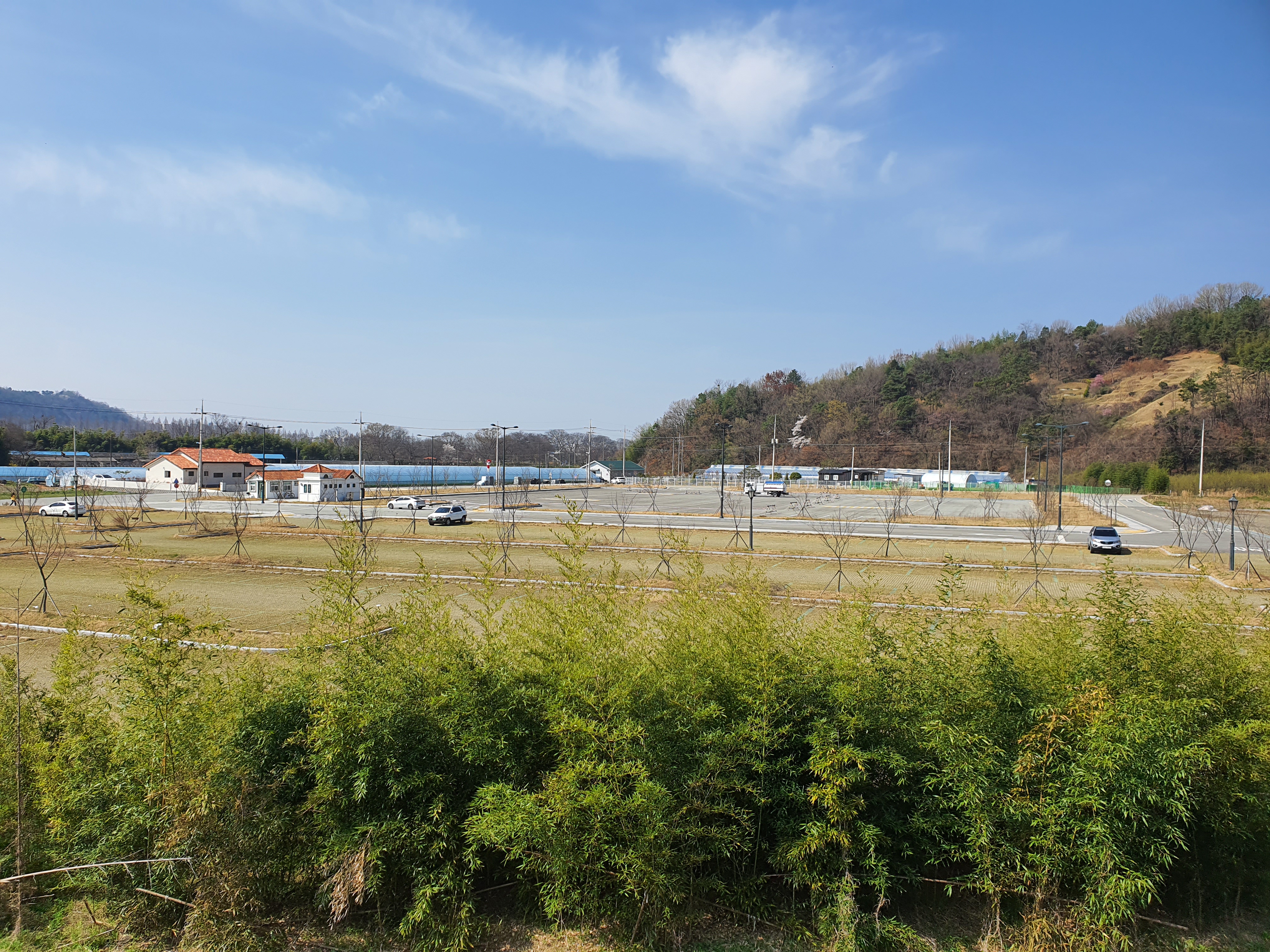 금월리 주차장 인기…