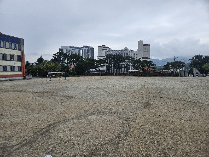 횡성초등학교 운동장(마사토) 1