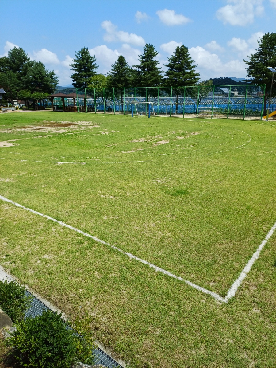 교학초등학교 운동장 1