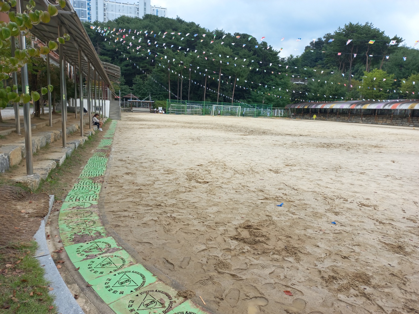 봉대초등학교 운동장 3