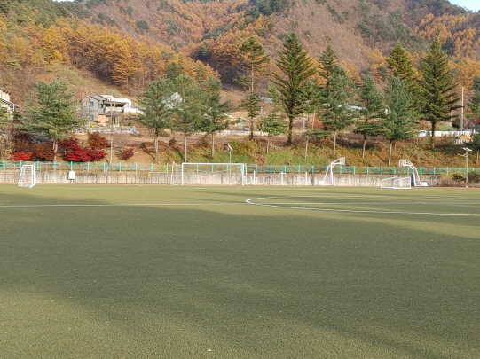 대화초등학교 운동장 2