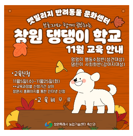 펫빌리지 ‘창원 댕댕이 학교’ 11월 교육 1