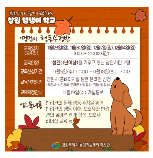 펫빌리지 ‘창원 댕댕이 학교’ 11월 교육 2