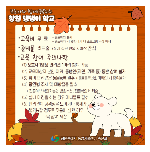 펫빌리지 ‘창원 댕댕이 학교’ 11월 교육 4