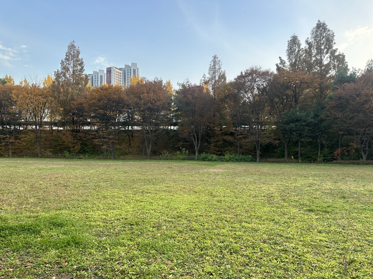 한국도로공사 서울경기본부 운동장 2