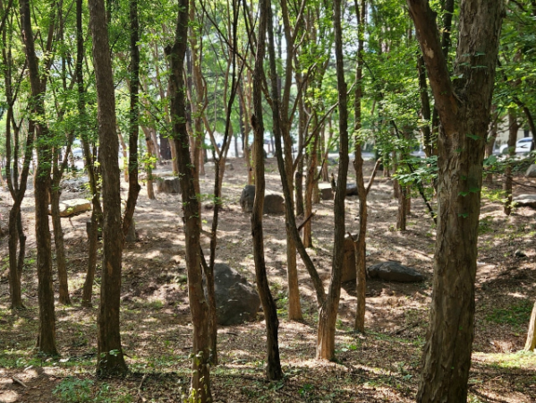 학산공원(벽천분수·암석원) 5