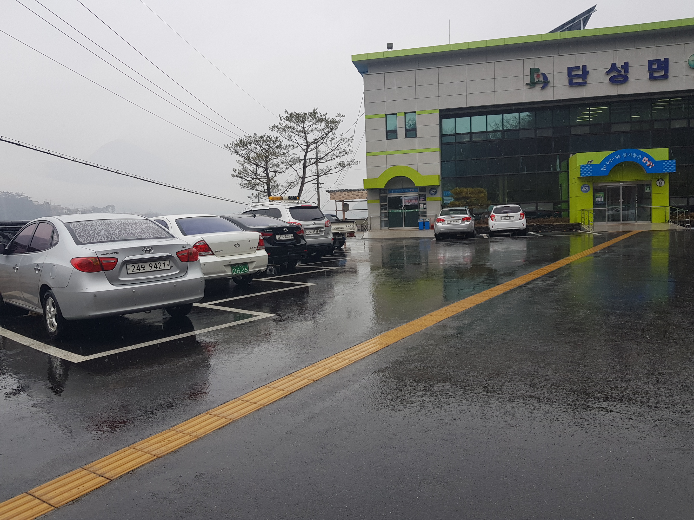 단성면사무소 본관 앞 5