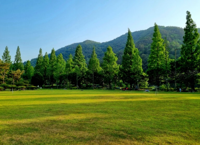 치명자산성지 평화의 전당 잔디광장(요안루갈다광장) 1