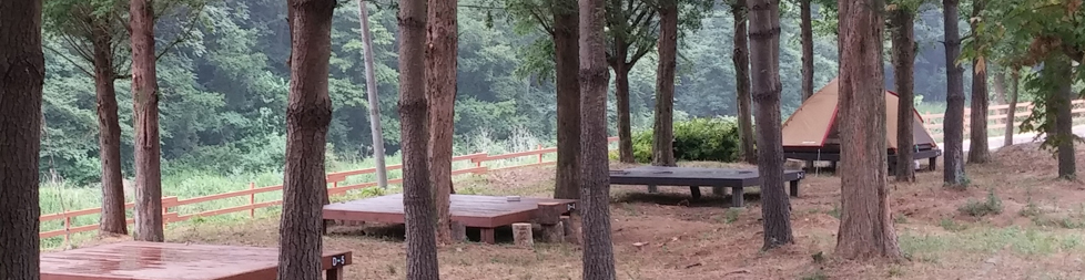 대전 동구 상소동 오토캠핑장 2