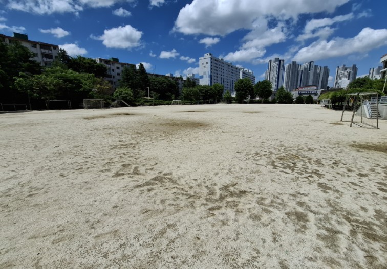 봉정초등학교 운동장 1