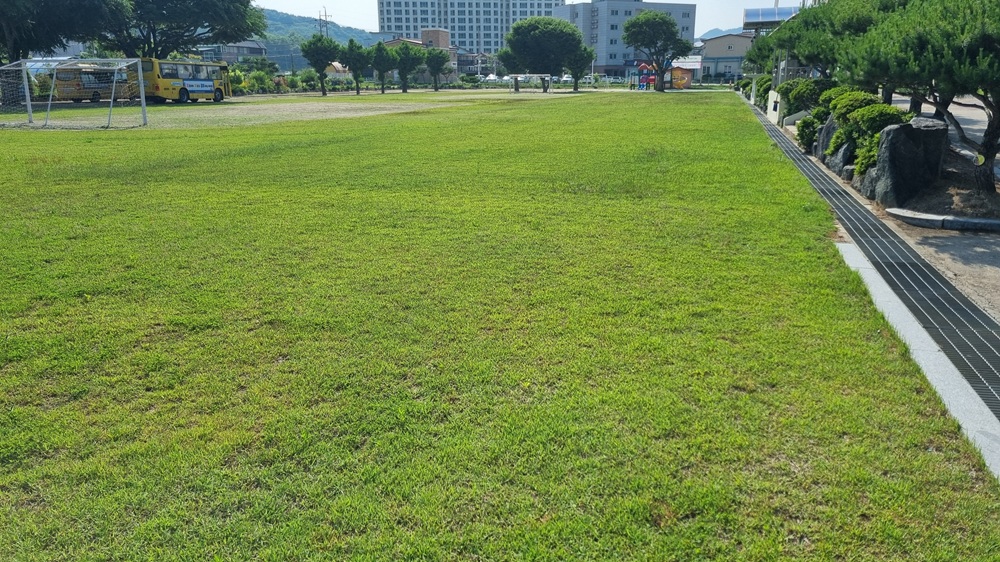 앙성초 운동장 1
