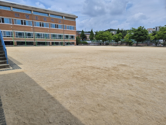 비봉초등학교 운동장 1