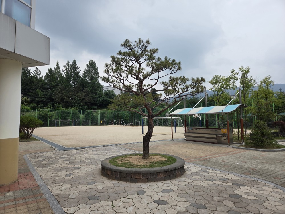충주남한강초등학교 운동장 1