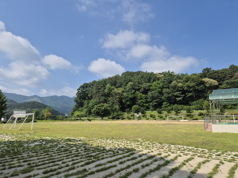 탄부초등학교 운동장 1