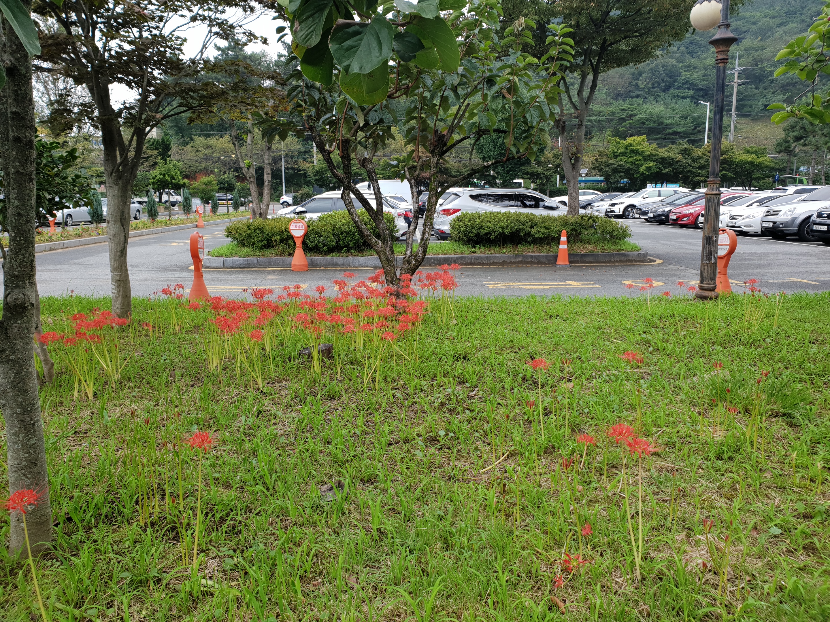 송암동주민센터 본관 앞