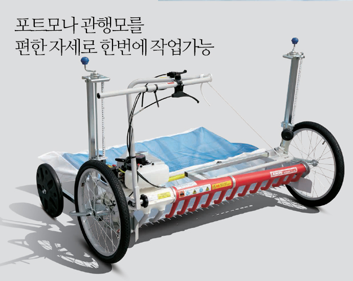 양파전엽기 — 제공기관 등록 이미지