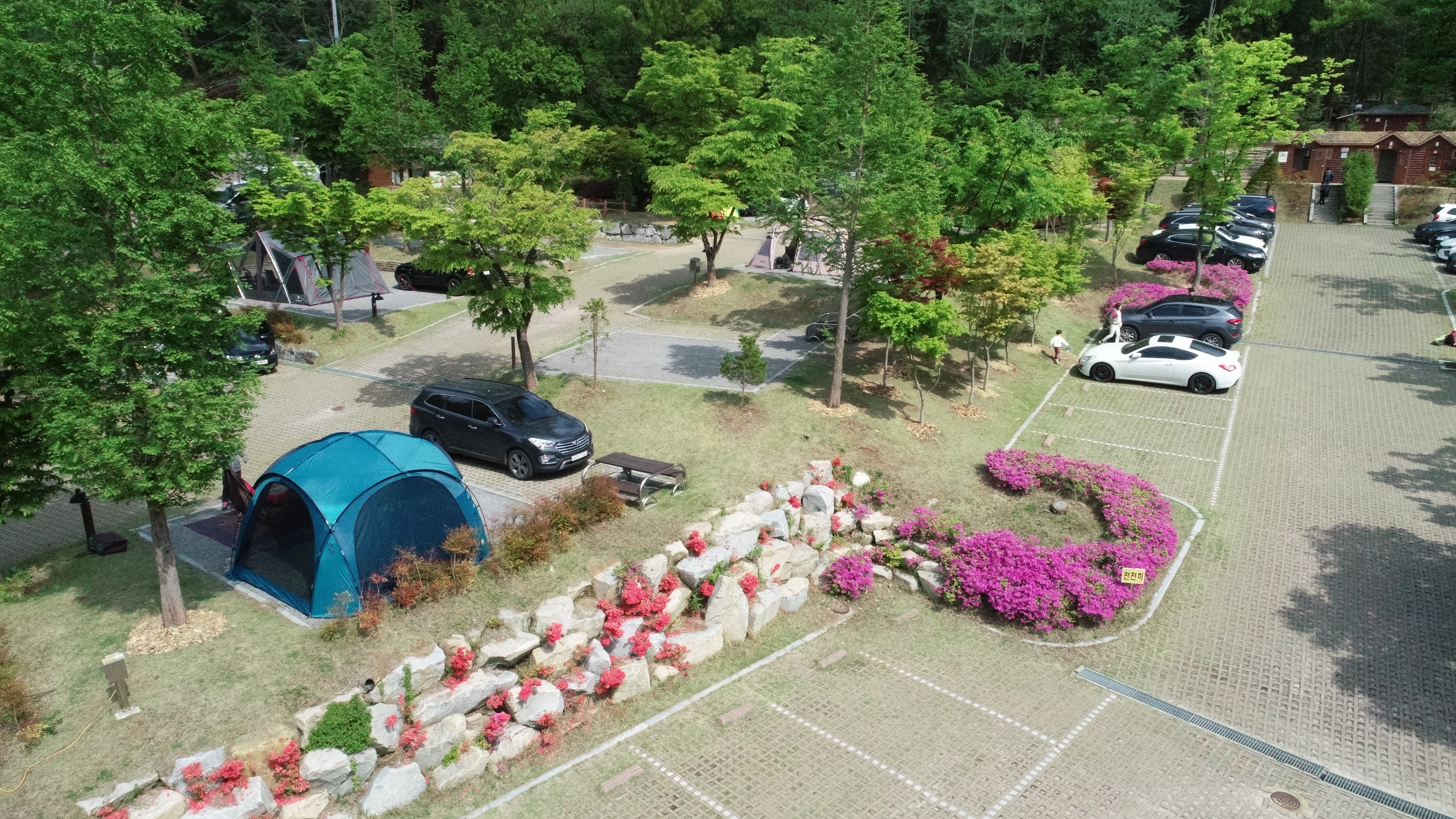 입화산 참살이 숲 야영장 2