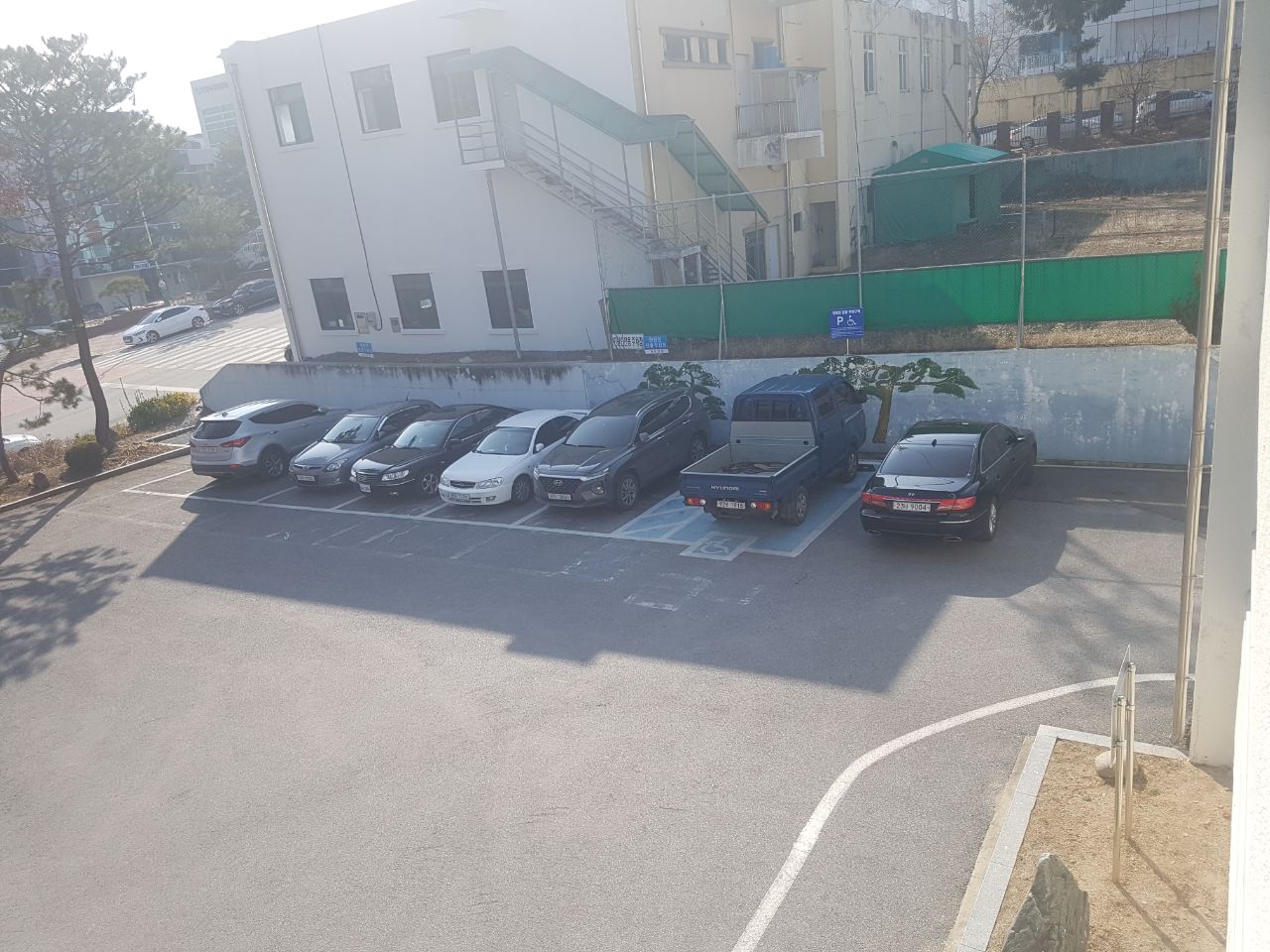 단양읍사무소 본관앞 2