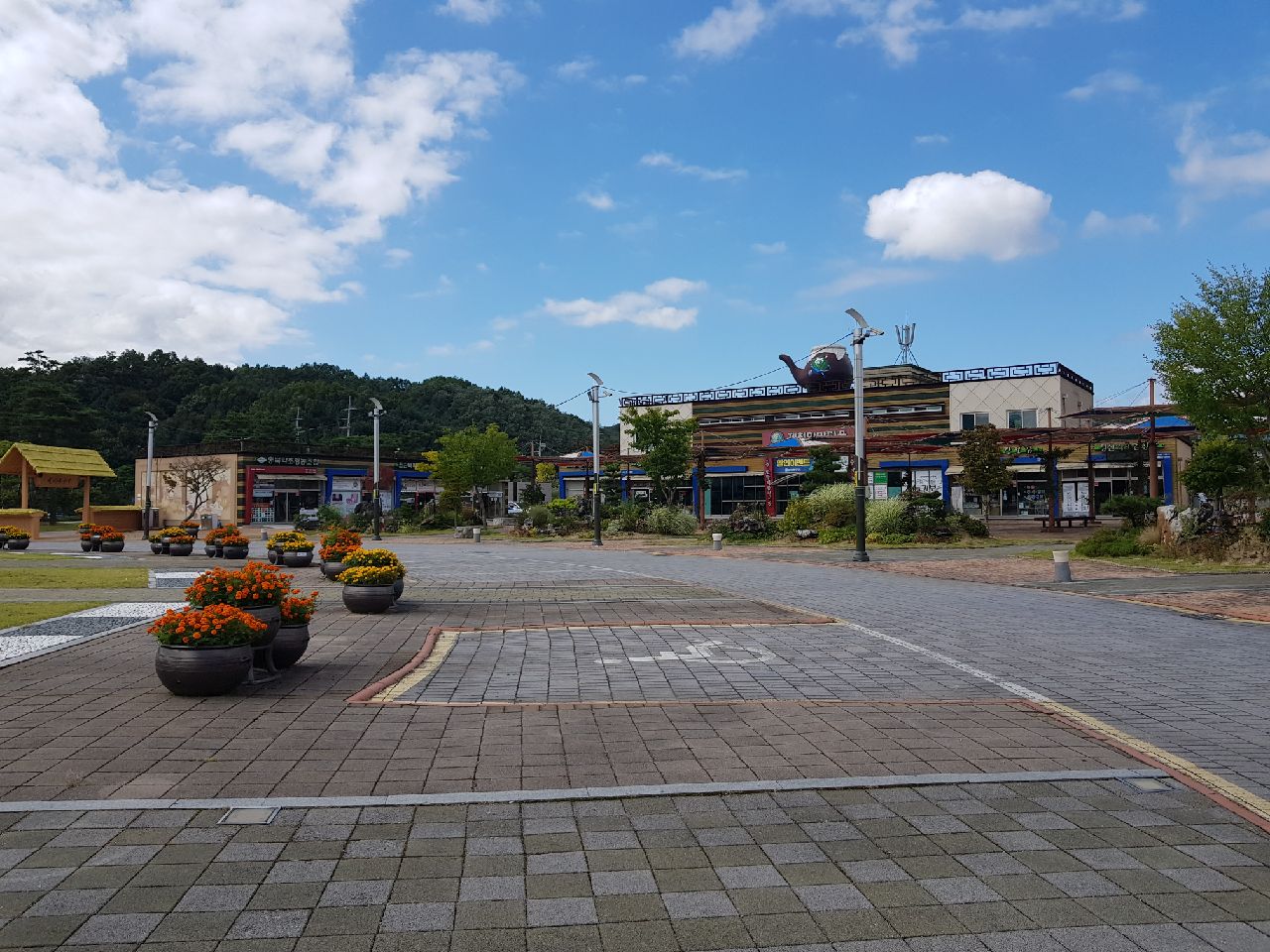 한방엑스포공원 유통…