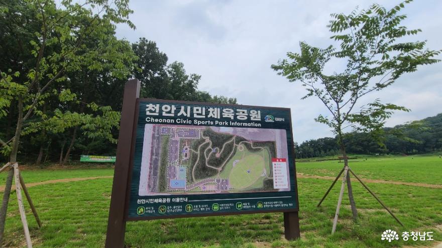 천안시민체육공원 잔디광장 1
