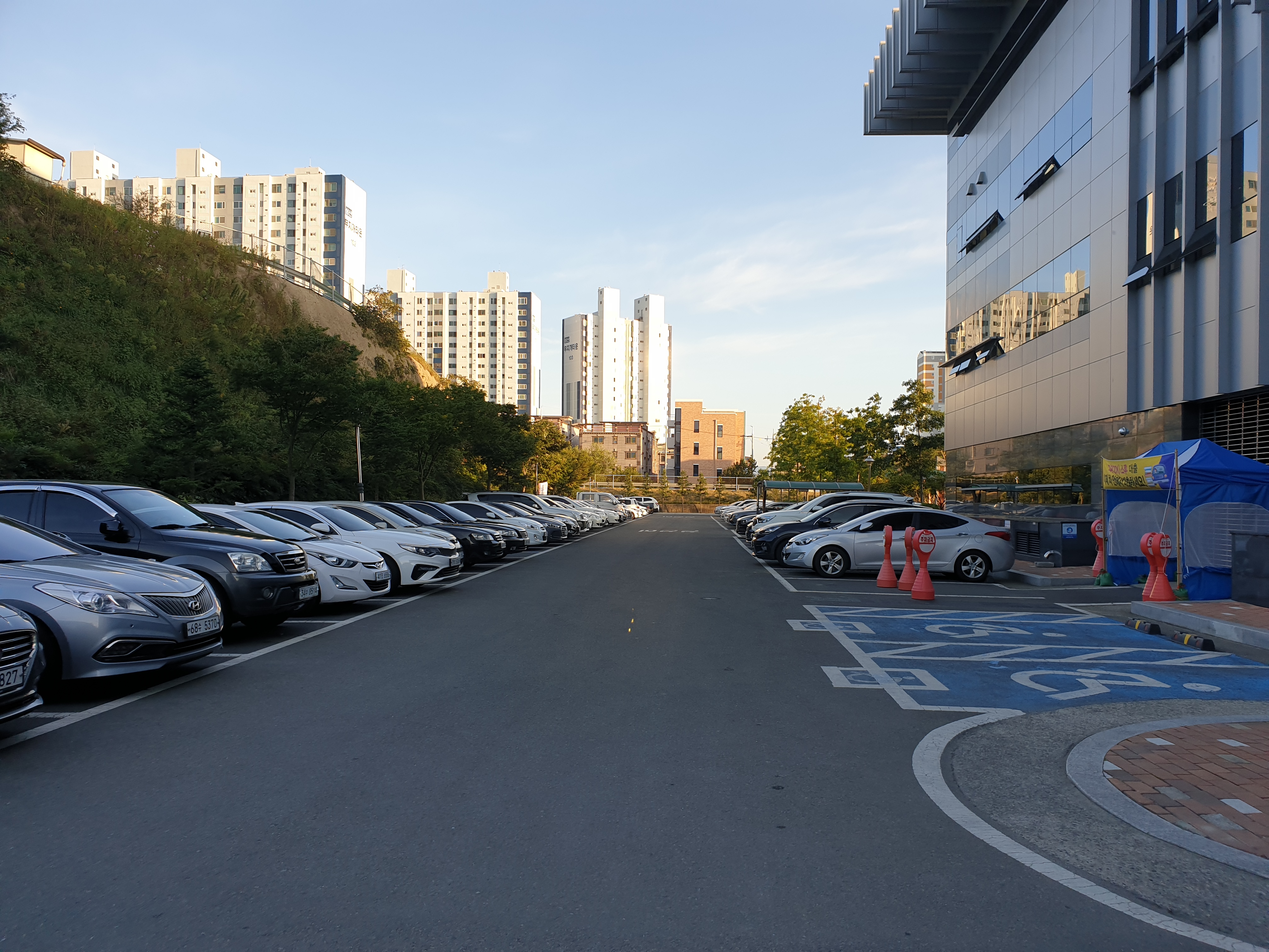 영천시립도서관 건물주변 1